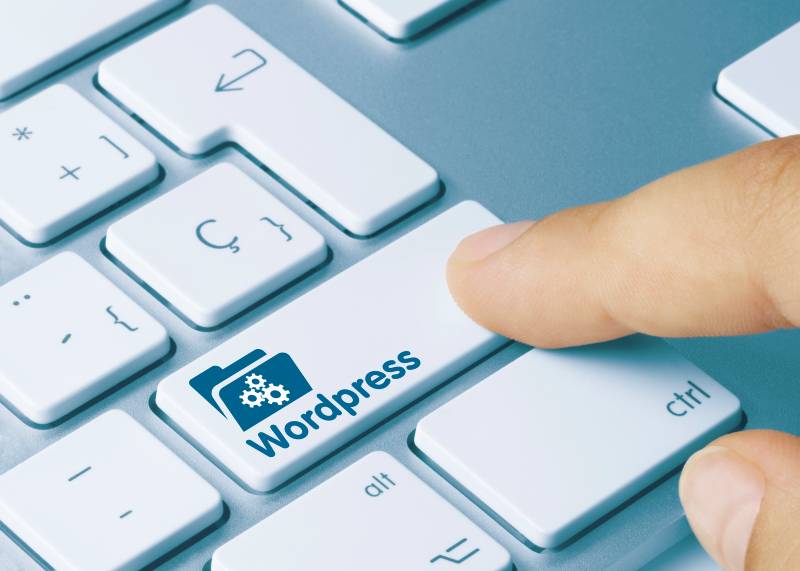 ¿Es WordPress una plataforma segura?